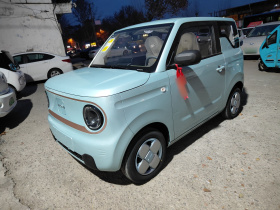 吉利银河 2024款 熊猫mini 200km 耐力熊