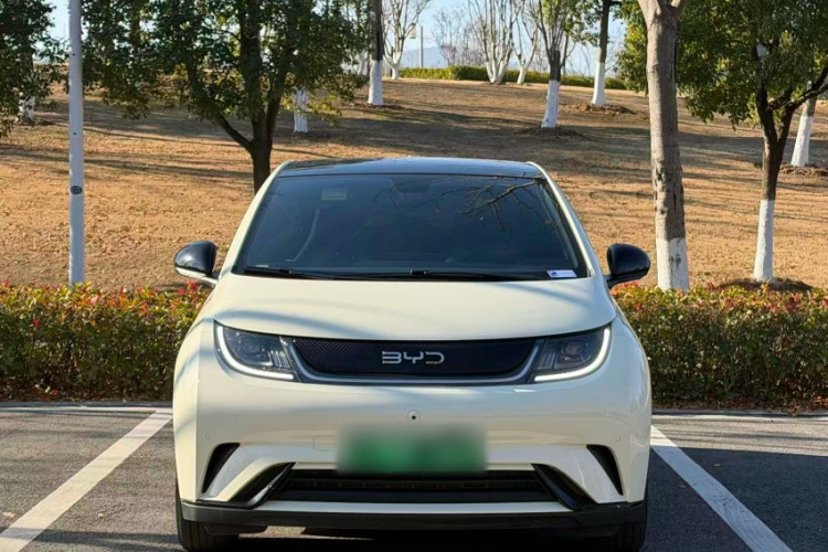 比亚迪 海豚 2025款 420km 时尚版车身外观6004