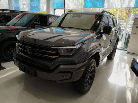 坦克400新能源 2024款 Hi4-T 越野版