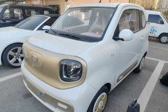 奔腾小马 2026款 222km 闪耀马