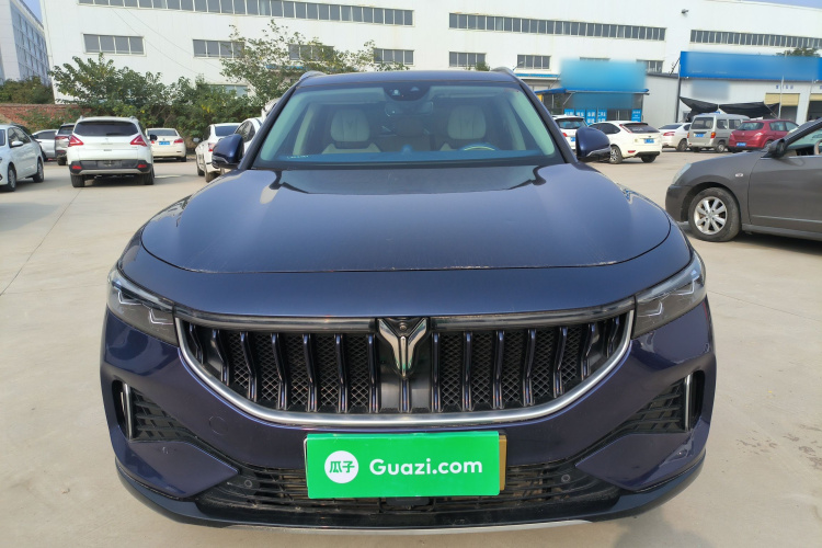 岚图汽车 岚图FREE 2021款 四驱标准增程专属豪华套装车身外观6001