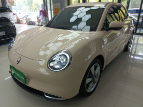 欧拉好猫 2023款 401km标准续航 豪华型 磷酸铁锂