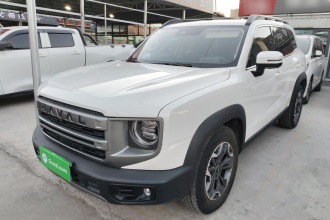 哈弗大狗 2024款 2.0T DCT中华田园犬版