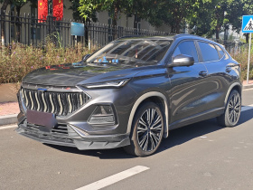 长安欧尚X5 2021款 1.5T DCT旗舰型