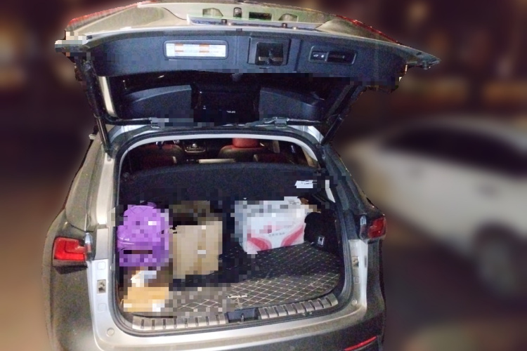 雷克萨斯NX 2020款 300h 前驱 锋尚版 国VI中控内饰23