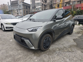 比亚迪 海鸥 2024款 荣耀版 305km 活力版