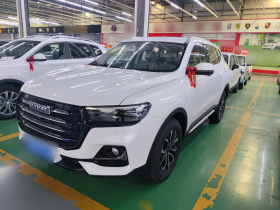 哈弗H6 2025款 1.5T 国潮都市版