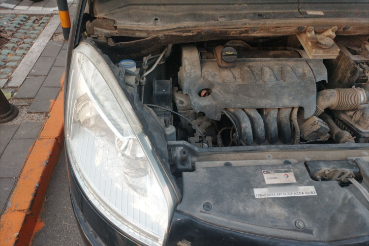 雪铁龙 C4 PICASSO 2009款 Grand 2.0L 舒适型局部细节9006