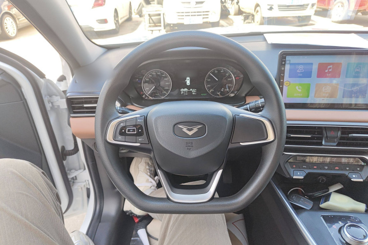 凯翼 轩度EV 2024款 悦行版局部细节13