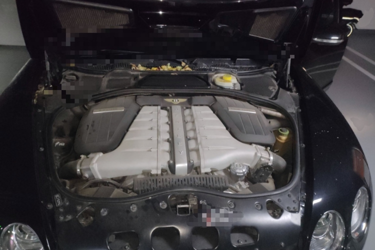 宾利 飞驰 2010款 6.0T 四座版局部细节24