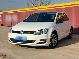 大众 高尔夫 2016款 230TSI 自动豪华型