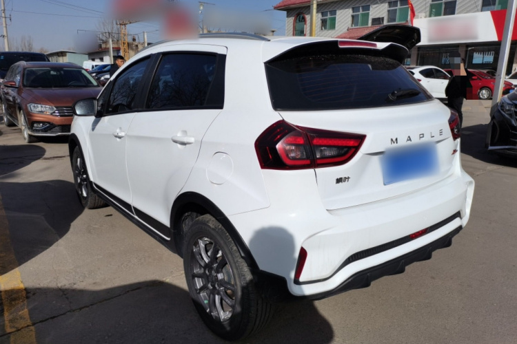 睿蓝汽车X3 PRO 2022款 1.5L CVT小飒车身外观4