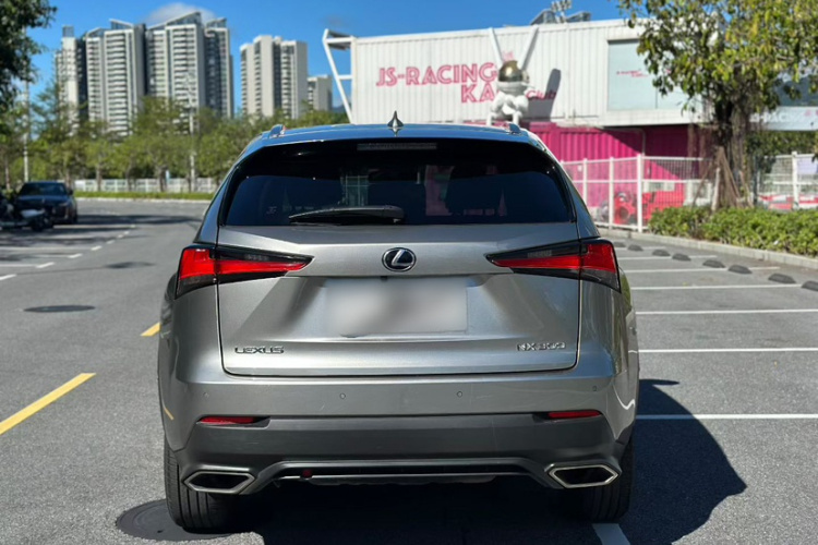 雷克萨斯NX 2018款 300 全驱 锋尚版车身外观6004