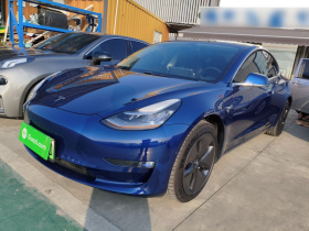 特斯拉 Model 3(进口) 2019款 长续航后驱版