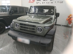 212 T01 2024款 2.0T 探险家