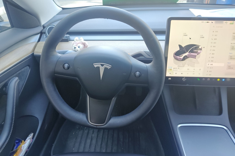 特斯拉 Model 3 2022款 后轮驱动版中控内饰13