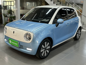 欧拉黑猫 2021款 351km 标准型