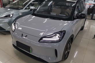 五菱汽车 五菱缤果PLUS 2024款 510km 旗舰版 四座版