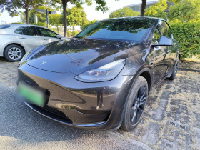 特斯拉 Model Y 2024款 后轮驱动版
