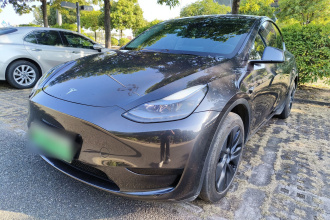 特斯拉 Model Y 2024款 后轮驱动版