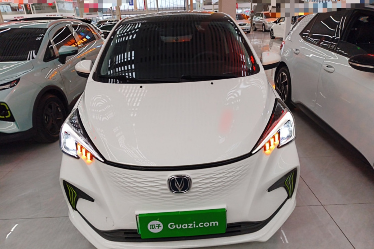 长安欧尚 奔奔E-Star 2020款 心悦版 三元锂车身外观2