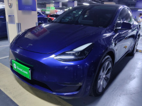 特斯拉 Model Y 2021款 标准续航后驱版