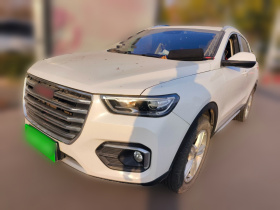 哈弗H4 2019款 红标 1.5GDIT DCT豪华智联版