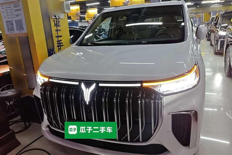 岚图汽车 岚图梦想家 2024款 PHEV 超长续航尊贵版车身外观6001