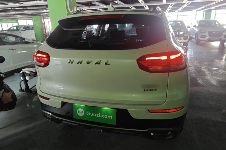 哈弗H6 2020款 2.0GDIT 自动铂金豪华版车身外观6004