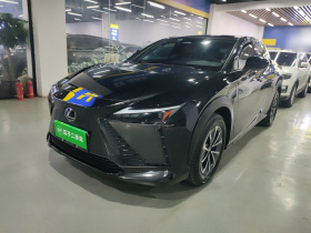 雷克萨斯RZ 2023款 450e 四驱纵享版