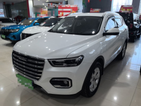 哈弗H6 2020款 1.5GDIT 自动铂金都市版