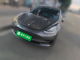特斯拉 Model 3 2019款 标准续航后驱升级版
