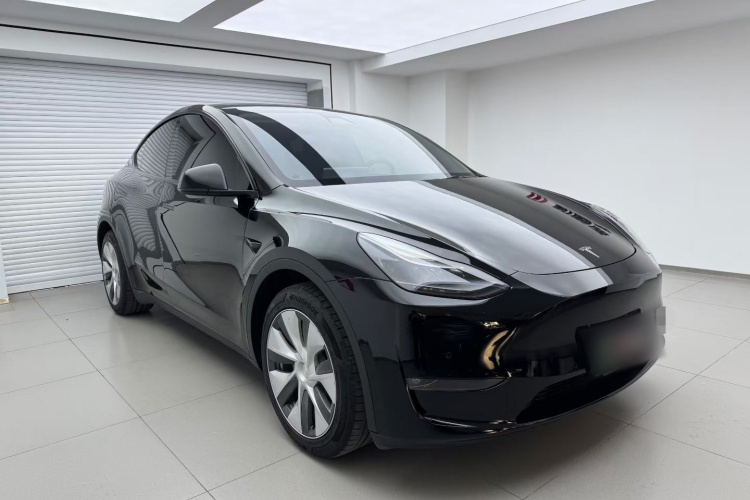 特斯拉 Model Y 2021款 标准续航后驱版车身外观6006