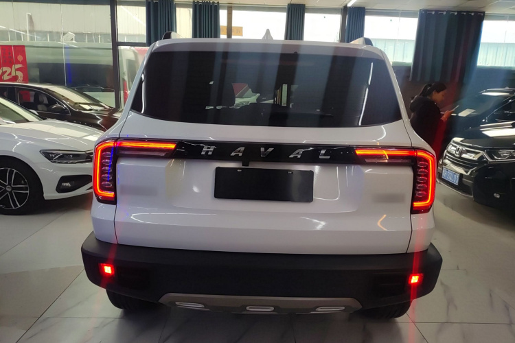 哈弗大狗 2021款 1.5T DCT两驱边牧版车身外观6004