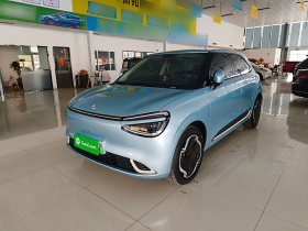 东风纳米 纳米01 2024款 330 Plus