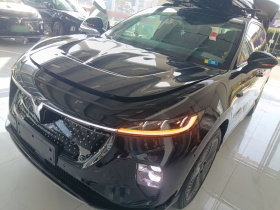 岚图汽车 岚图知音 2024款 四驱全球版