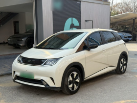 比亚迪 海豚 2024款 荣耀版 420km 自由版