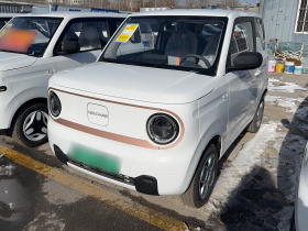吉利银河 2024款 熊猫mini 200km 耐力熊