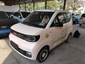 五菱汽车 宏光MINIEV 2021款 马卡龙时尚款 磷酸铁锂