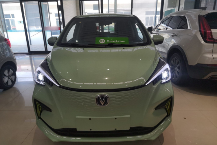 长安欧尚 奔奔E-Star 2022款 国民版 多彩限量款（快充版）三元锂车身外观6001