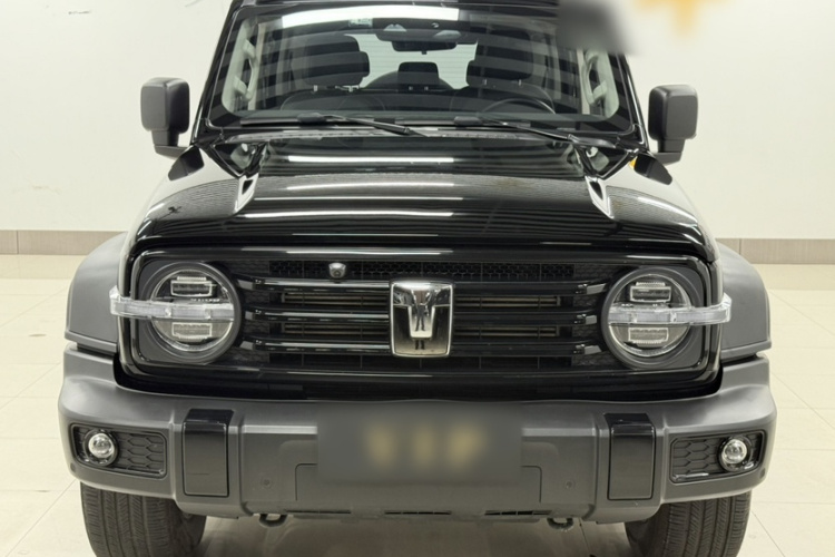 坦克300 2024款 2.0T 征服者车身外观6004