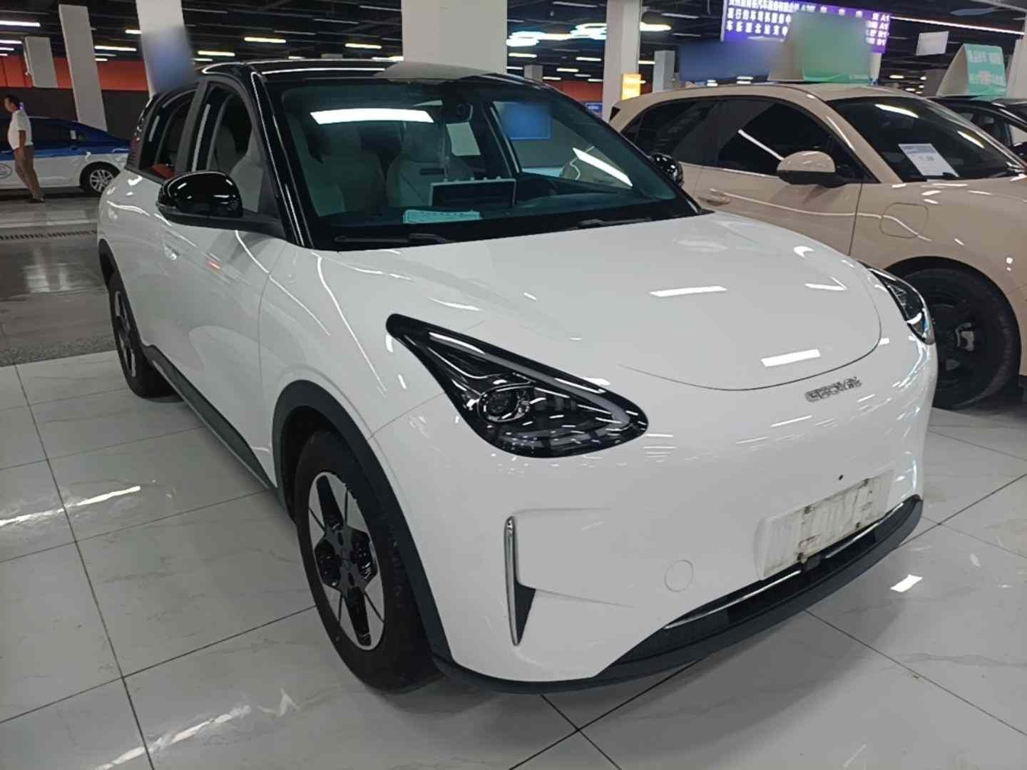 吉利银河 星愿 2025款 310km 梦想版(5)