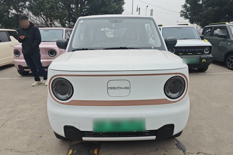 吉利银河 2024款 熊猫mini 200km 耐力熊车身外观2