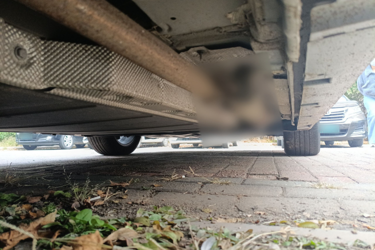 比亚迪 秦PLUS 2023款 冠军版 DM-i 120KM领先型局部细节9002