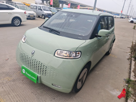 欧拉白猫 2022款 升级版 305km 豪华型 三元锂