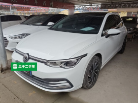 大众 高尔夫 2021款 200TSI DSG Pro