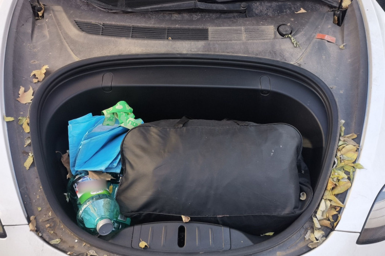 特斯拉 Model 3(进口) 2019款 长续航后驱版局部细节24