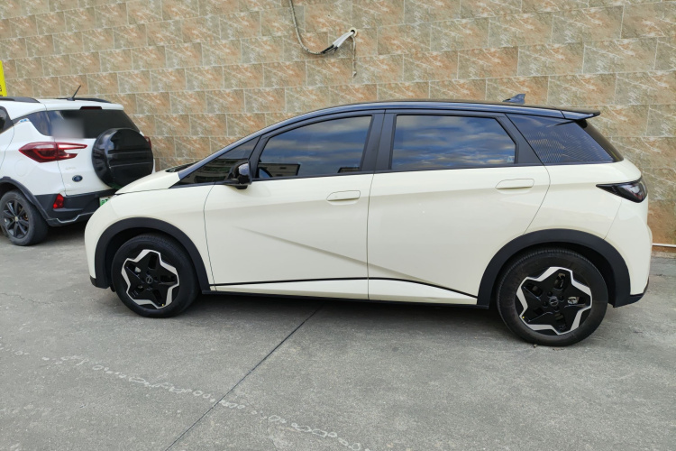 比亚迪 海豚 2021款 405km 自由版车身外观6001