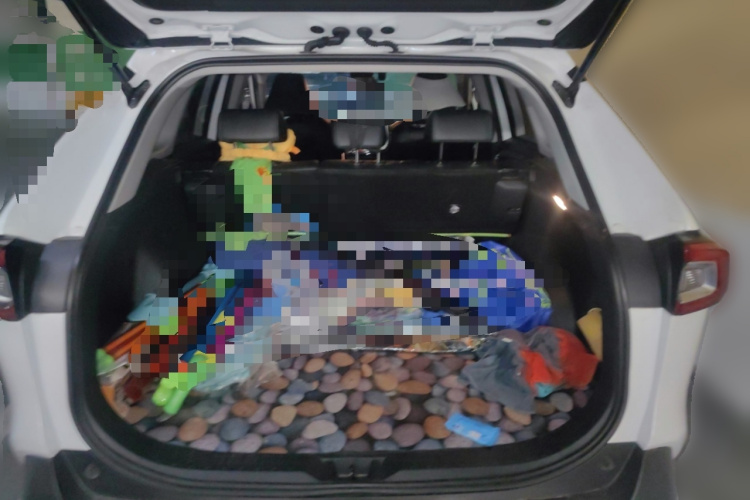 丰田 威兰达 2021款 2.0L CVT四驱豪华版局部细节23