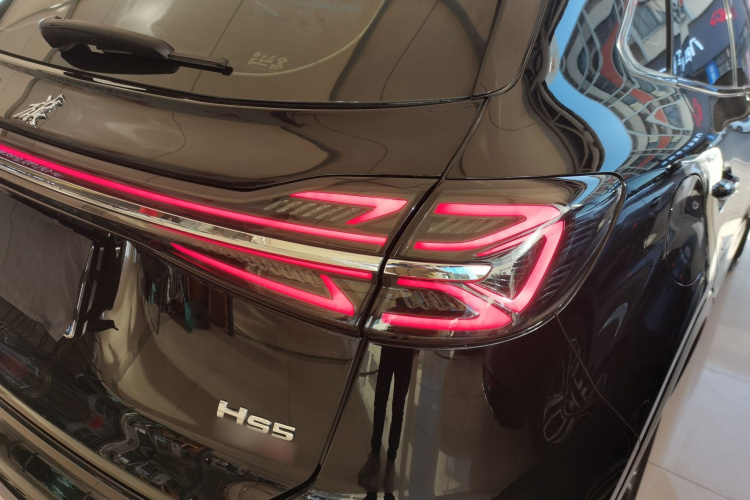 红旗HS5 2023款 2.0T 旗享Pro版车身外观9